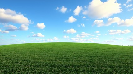 Fototapeta premium 푸른하늘,초원,녹색,맑은날,햇살,자연,풍경 