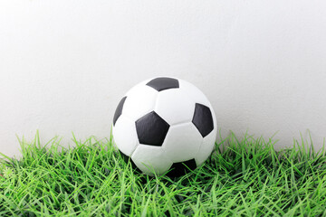 Obraz premium Football on the field