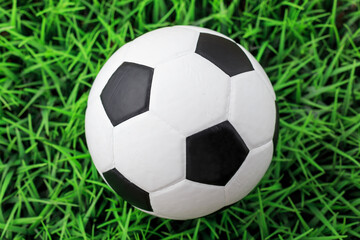 Obraz premium Football on the field