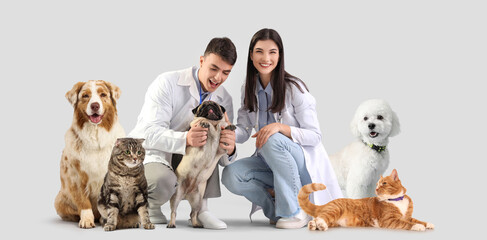 Veterinarians and many animals on light background