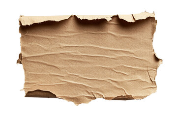 Fototapeta premium ripped cardboard piece paper note isolated on transparent background