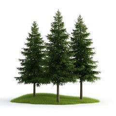 Obraz premium Three Evergreen Trees on Grass Island Isolated White Background