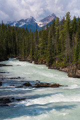 A powerful river flows through a verdant forest, framed by majestic mountains, symbolizing the harmony of nature and the vigor of life in a stunning wilderness setting.