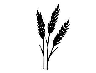 wheat isolated on white background