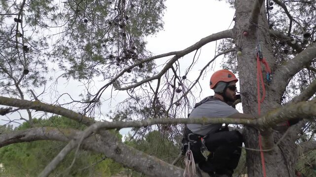 Rope access technician pruning by securing with a rope