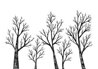 Obraz premium Illustrations of stylized trees. Different shades of gray, black. White background. Trees filled with stroke texture. Drawn with simple straight lines tapering to the end.