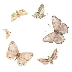 Butterflies Monarch and other flying on white background. Set of delicate cute beige brown butterflies. Hand drawn watercolor illustration on isolated white background. Template for print or frame.