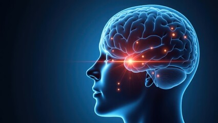 Transcranial magnetic stimulation. Human brain with glowing neural connections inside transparent head profile, medical research, neuroscience concept, education, technology, innovation, blue backgro