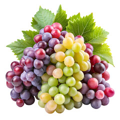Fototapeta premium Fresh Grapes: Red, Green, & Purple Varieties isolated on transparent background