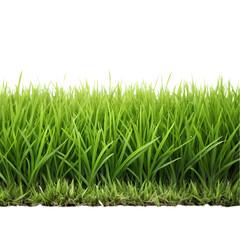 Obraz premium Lush Green Grass Texture Image isolated on transparent background