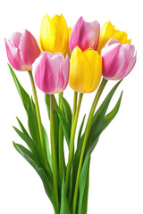 Naklejka premium Pink and Yellow Tulips Bouquet on transparent background 
