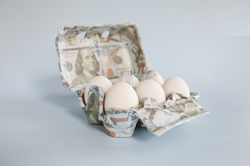 Half Dozen Carton of Eggs Wrapped in Hundred Dollar Bills