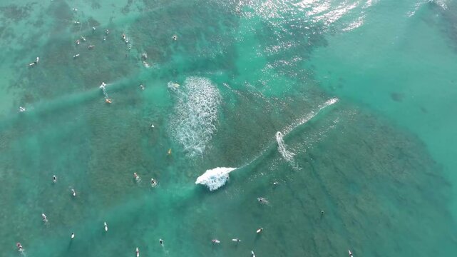 Overhead surfers blue water small waves Waikiki Beach