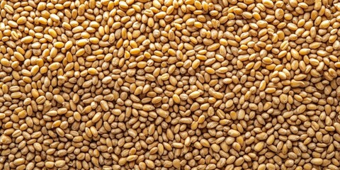 Fototapeta premium Granular texture of golden wheat germ seeds densely packed in a uniform layer creating an organic background in warm earth tones.