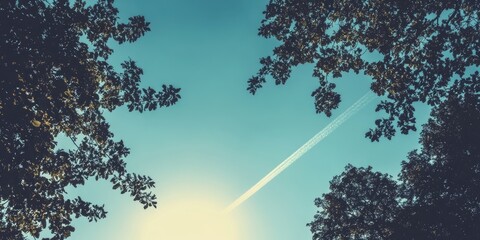 Bright blue sky framed by dark green tree silhouettes with sun glare at center and a white contrail streaking through the top right.