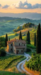  Winding path leading to tuscan farmhouse at sunset in italy © creative