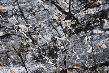 This captivating image showcases intricate gray marble with white veining and patches of orange lichen, making it a perfect depiction of natural elegance and texture.