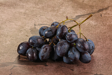 Blue juicy sweet ripe Grape bunch