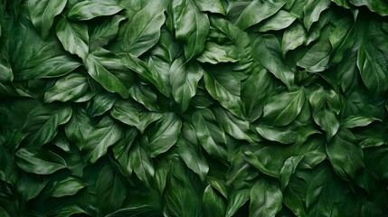 Fototapeta premium Deep Forest Green Leaves Pattern Background Image