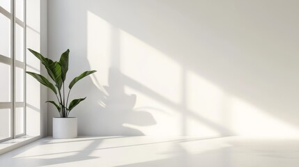 Minimalist White Room Interior Design with Sunlight