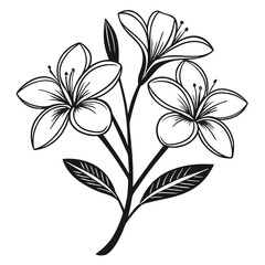 Floral Elements Silhouette Collection