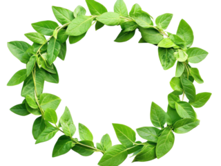 Vibrant Green Leaves Forming a Perfect Circle: A Botanical Wreath of Lush Foliage