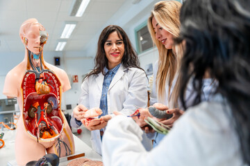 Medical students studying human anatomy with anatomical model