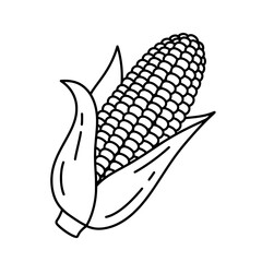 Corn Cob: A detailed line art illustration of a single corn cob, showcasing the natural beauty and texture. Ideal for culinary and agricultural themes.
