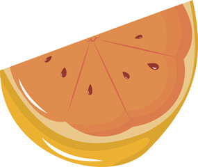 Illustration of a Fresh Orange Slice