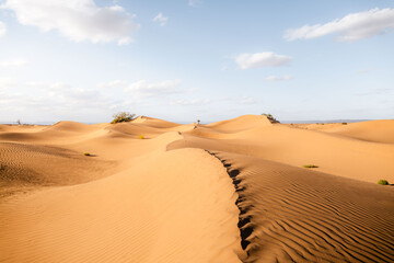 Sand dunes in the desert. M'Hamid sand dunes in Sahara Morocco