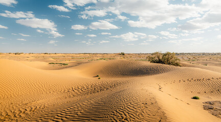 Sand dunes in the desert. M'Hamid sand dunes in Sahara Morocco