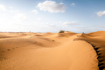 Sand dunes in the desert. M'Hamid sand dunes in Sahara Morocco
