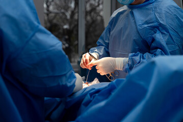 Open abdominal surgery, hernia surgery, patient on the table.s. The setting is a controlled,...