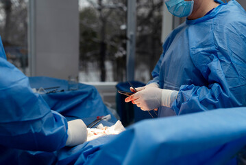 Open abdominal surgery, hernia surgery, patient on the table. The setting is a controlled, sterile...