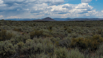 An expansive view capturing a vast landscape filled with vegetation and dramatic clouds overhead, signifying a change in weather and the beauty of nature's diversity.