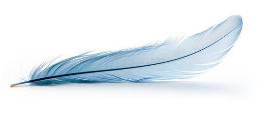 Delicate blue feather isolated on white background, featuring soft curves and intricate barbs, positioned elegantly along the horizontal axis.