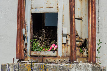 An old, rusted metal structure shows evidence of nature reclaiming space, with greenery sprouting from within its hollow framework, symbolizing resilience and harmony.