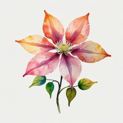 Obraz premium Watercolor Painting of a Pink and Orange Clematis Flower