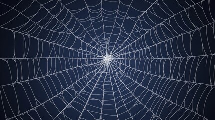 Obraz premium Intricate circular spider web against dark background