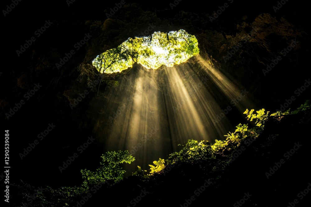 Poster Sunlight streams down into a cave opening, illuminating the darkness below