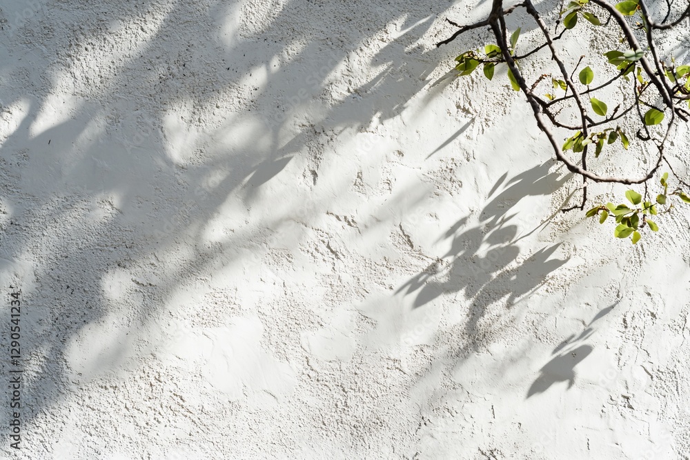 Poster light and shadow play on a textured white wall adorned with green leaves creating a serene atmospher