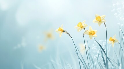Serene Spring Daffodils: A Pastel Dream