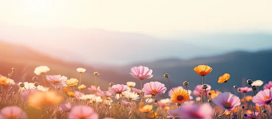 Selbstklebende Fototapeten Dreamy landscape featuring soft pink, yellow, and white flowers in foreground with gentle mountain backdrop and warm pastel sunset hues. © Ahmad