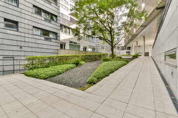 Fototapeta premium Modern urban landscape with greenery
