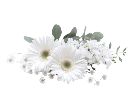 Elegant White Gerbera Daisies and Baby's Breath Bouquet Arrangement  Floral Photography