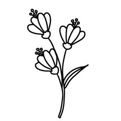 Spring Flower Outline