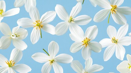 White Flower Bloom on a Light Blue Background