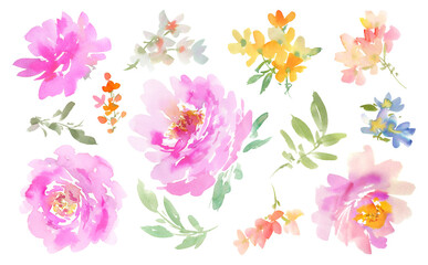 PNG clipart set of watercolor Abstract Pink Peonies, Wildflowers, and Leaves. Hand-Painted Floral illustration collection for wedding invitation and pattern with transparent background.