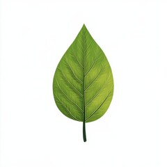 Collaborative green leaf illustration in childrens book style