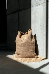 Burlap sack filled with grain outdoors, with shadows on concrete, for agriculture